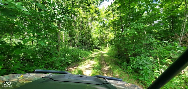 12251 E Wagner Rd, Solsberry, IN 47459 - photo 33