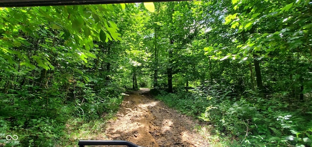 12251 E Wagner Rd, Solsberry, IN 47459 - photo 68