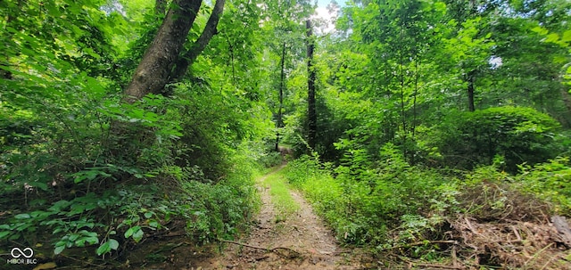 12251 E Wagner Rd, Solsberry, IN 47459 - photo 60