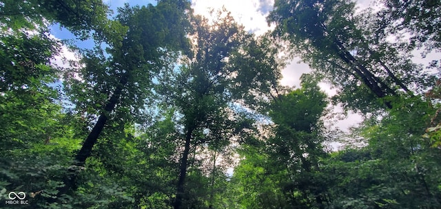 12251 E Wagner Rd, Solsberry, IN 47459 - photo 70