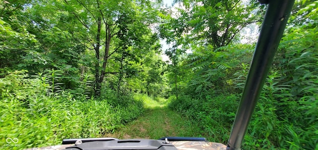 12251 E Wagner Rd, Solsberry, IN 47459 - photo 47