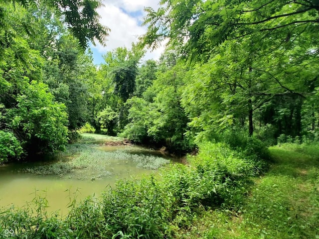 12251 E Wagner Rd, Solsberry, IN 47459 - photo 10