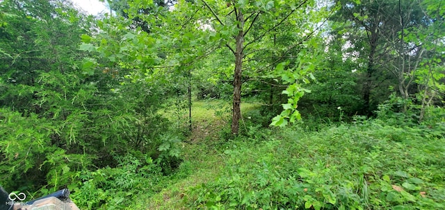12251 E Wagner Rd, Solsberry, IN 47459 - photo 25