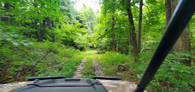12251 E Wagner Rd, Solsberry, IN 47459 - photo 63