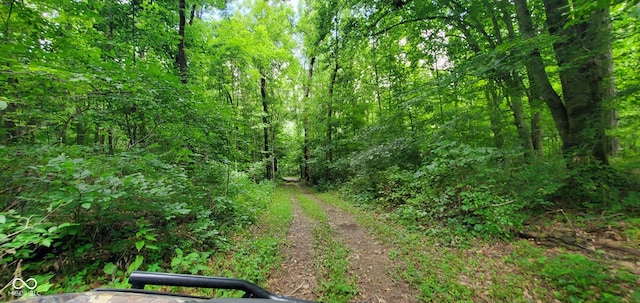 12251 E Wagner Rd, Solsberry, IN 47459 - photo 8