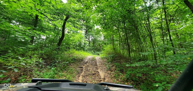 12251 E Wagner Rd, Solsberry, IN 47459 - photo 62
