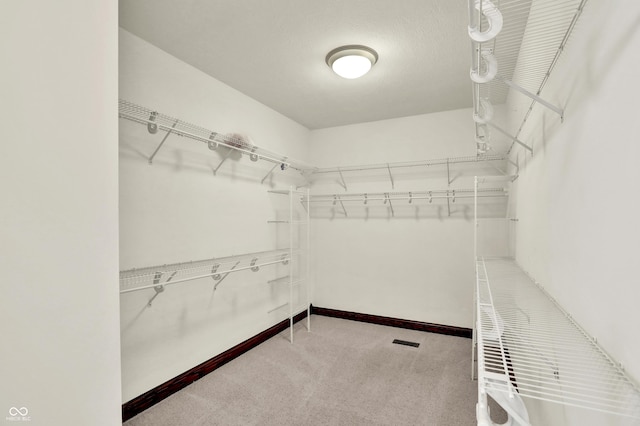2629 E Fairway Village Dr, Greenfield, IN 46140 - photo 44
