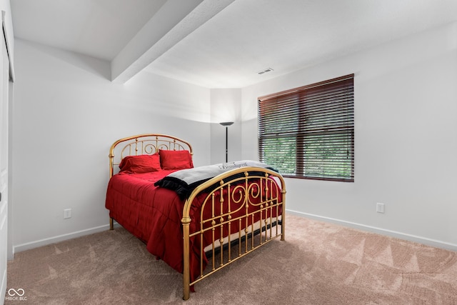 9538 Summer Hollow Dr, Fishers, IN 46037 - photo 48
