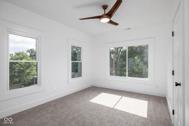 3118 E Fall Creek Pkwy N, Indianapolis, IN 46205 - photo 36