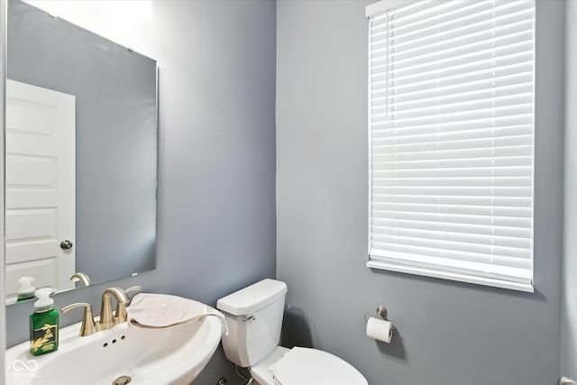 2442 S Copperstone Dr, New Palestine, IN 46163 - photo 22