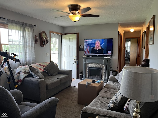 4045 N 50 E, Greenfield, IN 46140 - photo 6