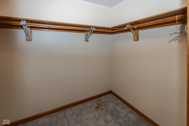 7448 W 100 N, Greenfield, IN 46140 - photo 18