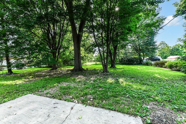 9520 Broadway St, Indianapolis, IN 46240 - photo 28