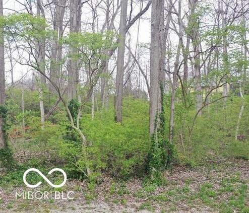 2408 Idlewood Dr, Indianapolis, IN 46240 - photo 1