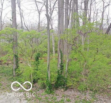 2408 Idlewood Dr, Indianapolis, IN 46240 - photo 17