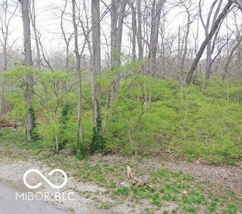 2408 Idlewood Dr, Indianapolis, IN 46240 - photo 15