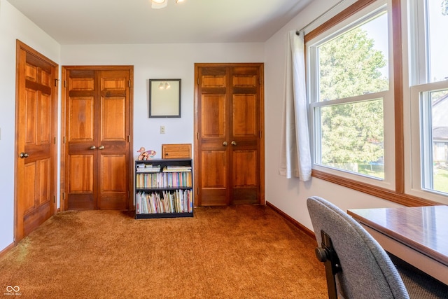 1036 Goldfinch Rd, Columbus, IN 47203 - photo 39