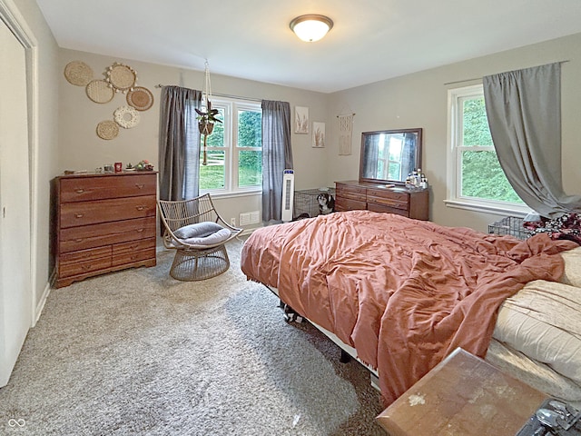 4110 N Drexel Ave, Indianapolis, IN 46226 - photo 21