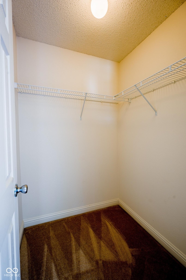 12523 Courage Xing, Fishers, IN 46037 - photo 20