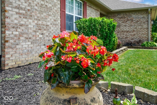 4171 S Danita Ct, New Palestine, IN 46163 - photo 50