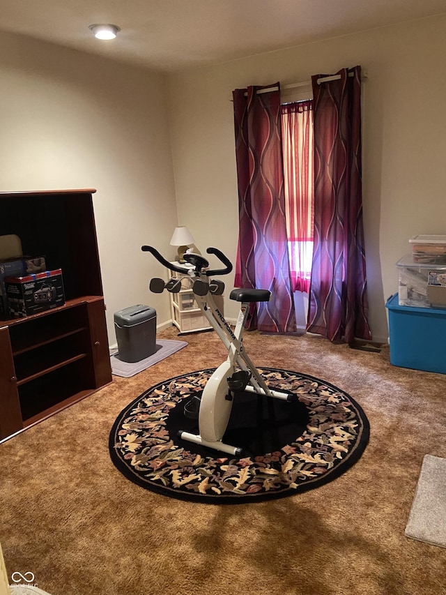 4410 Mountbatten Ct, Indianapolis, IN 46254 - photo 9