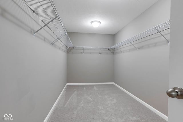5792 Grevillea Ln, Plainfield, IN 46168 - photo 33