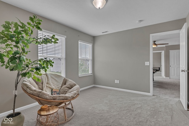 5792 Grevillea Ln, Plainfield, IN 46168 - photo 54