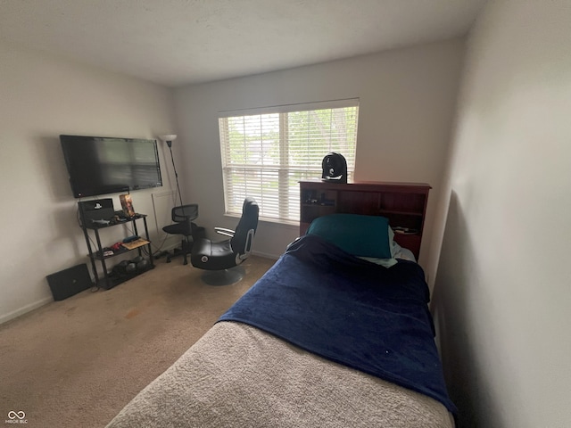 5993 Sycamore Forge Ln, Indianapolis, IN 46254 - photo 13
