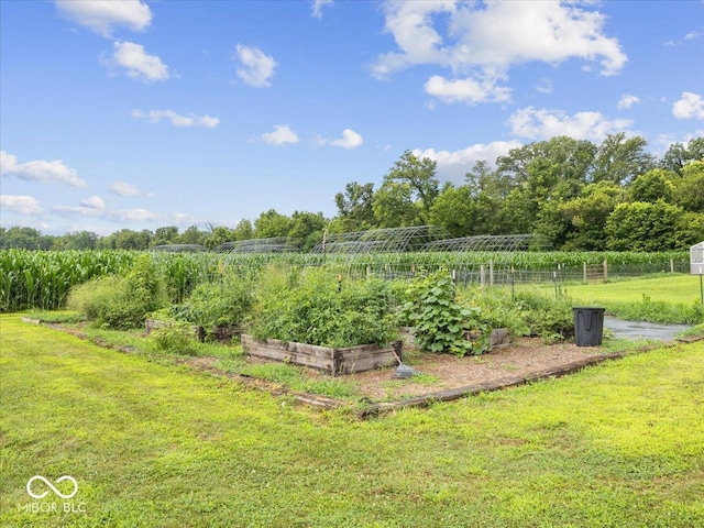 10165 N State Road 9, Fountaintown, IN 46130 - photo 16
