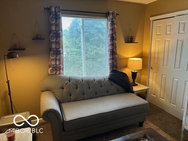 5043 Lewiston Dr, Indianapolis, IN 46254 - photo 26