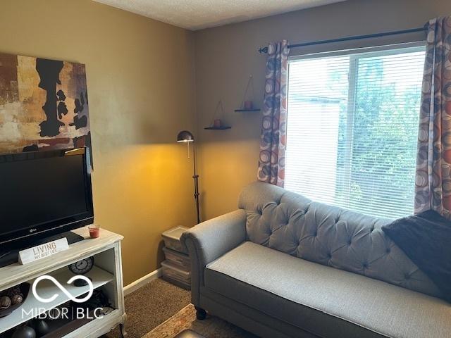 5043 Lewiston Dr, Indianapolis, IN 46254 - photo 27