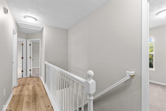10711 Regis Ct, Indianapolis, IN 46239 - photo 24