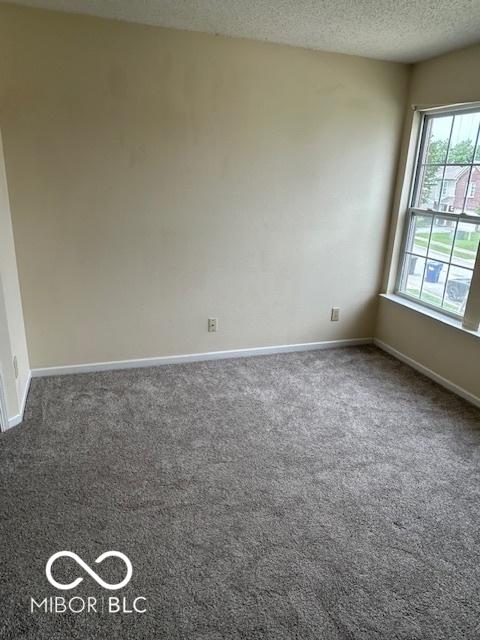 10357 Split Rock Way, Indianapolis, IN 46234 - photo 10