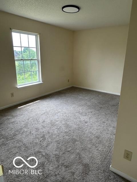 10357 Split Rock Way, Indianapolis, IN 46234 - photo 9