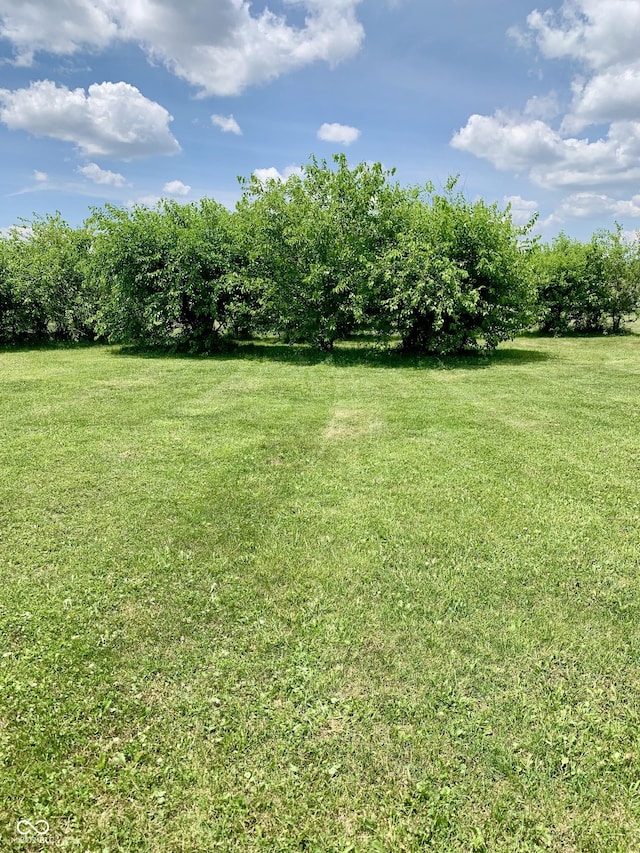 2323 Deerfield Run Ct, Anderson, IN 46017 - photo 9
