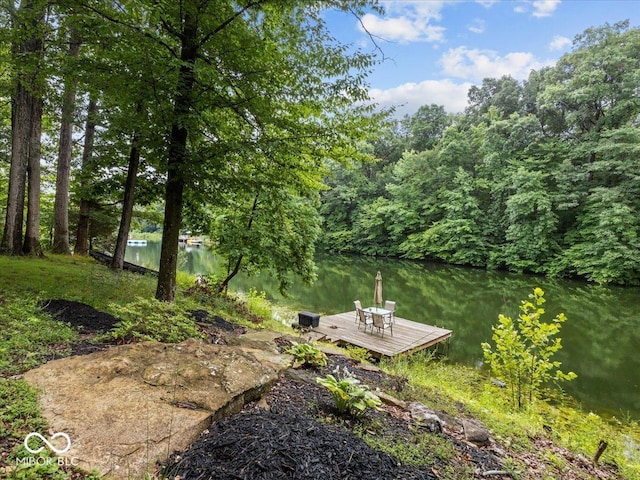 19523 E Lake Site Dr, Hope, IN 47246 - photo 51