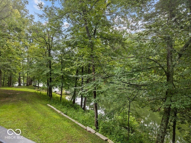 19523 E Lake Site Dr, Hope, IN 47246 - photo 45