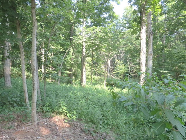 7793 Howard Prince Dr, Nineveh, IN 46164 - photo 3