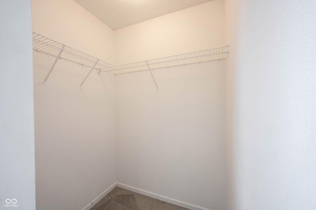 1738 Sonesta Way, Indianapolis, IN 46217 - photo 33