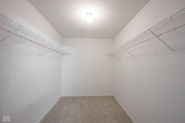 1738 Sonesta Way, Indianapolis, IN 46217 - photo 25