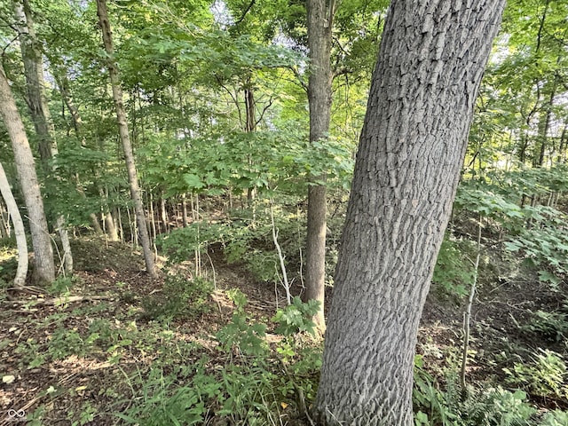 4877 E County Road 1325 N, Brazil, IN 47834 - photo 5