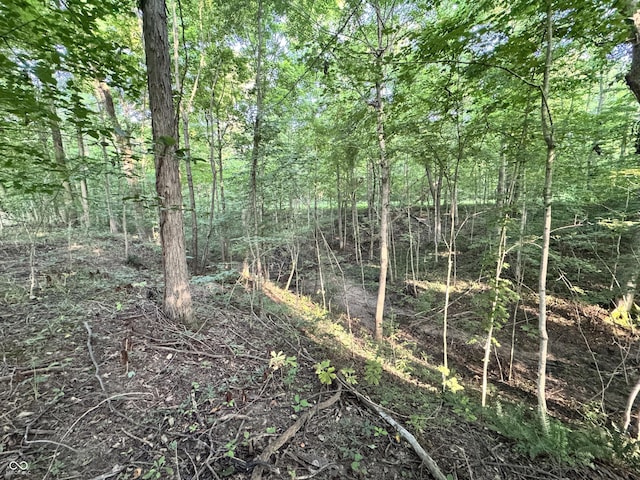 4877 E County Road 1325 N, Brazil, IN 47834 - photo 6