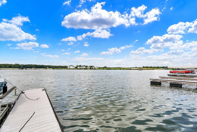 13456 Lake Ridge Ln, Fishers, IN 46055 - photo 77
