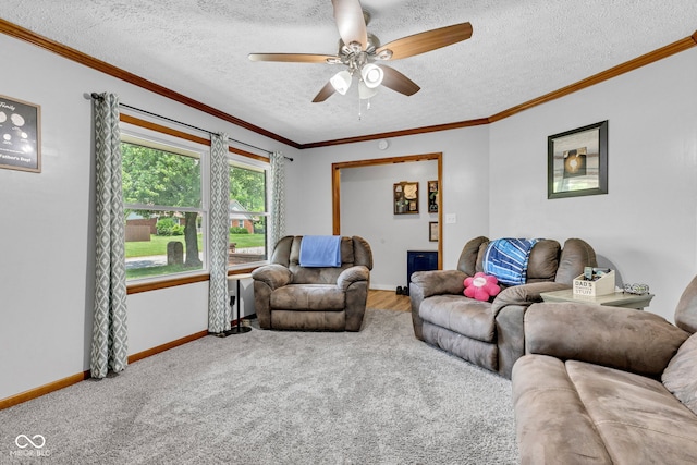 5853 Tulip Dr, Brownsburg, IN 46112 - photo 24