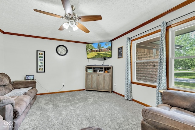 5853 Tulip Dr, Brownsburg, IN 46112 - photo 6