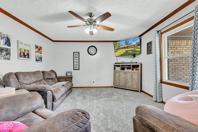 5853 Tulip Dr, Brownsburg, IN 46112 - photo 5