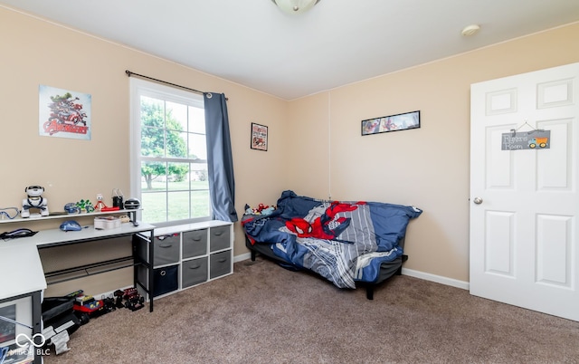 1905 Gaynell Dr, Seymour, IN 47274 - photo 29