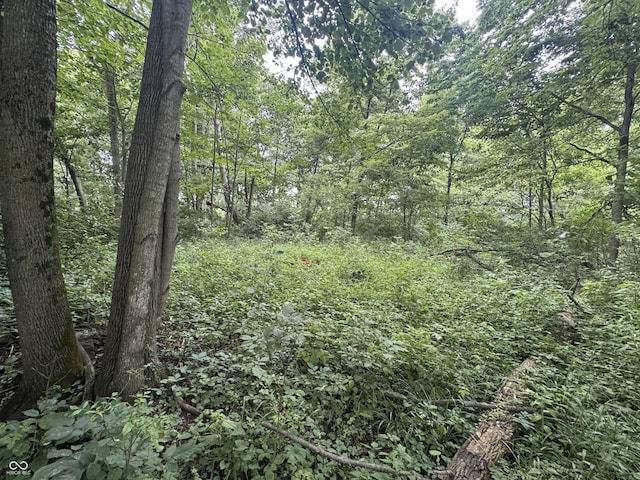 0 Hopewell Rd, Fountain City, IN 47341 - photo 16