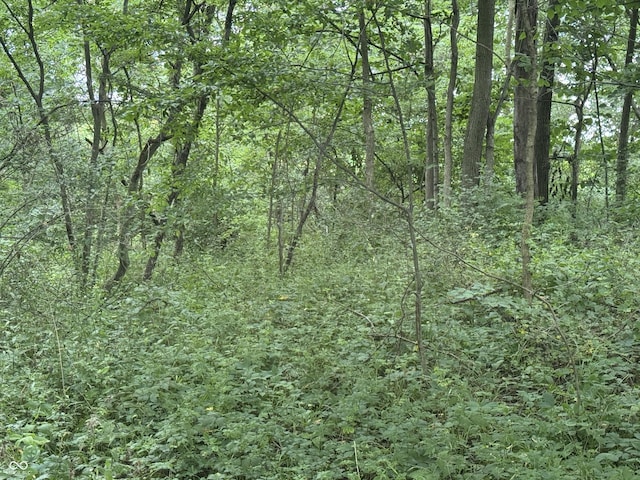 0 Hopewell Rd, Fountain City, IN 47341 - photo 13