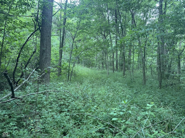 0 Hopewell Rd, Fountain City, IN 47341 - photo 2